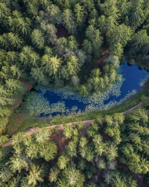 sulfner weiher