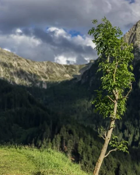 Der Schennaberg