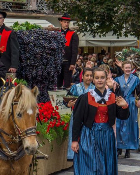 Traubenfest 04984