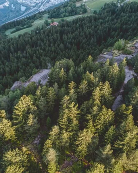 knottnkino 2