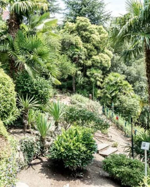 Öffentlicher Kräutergarten Meran