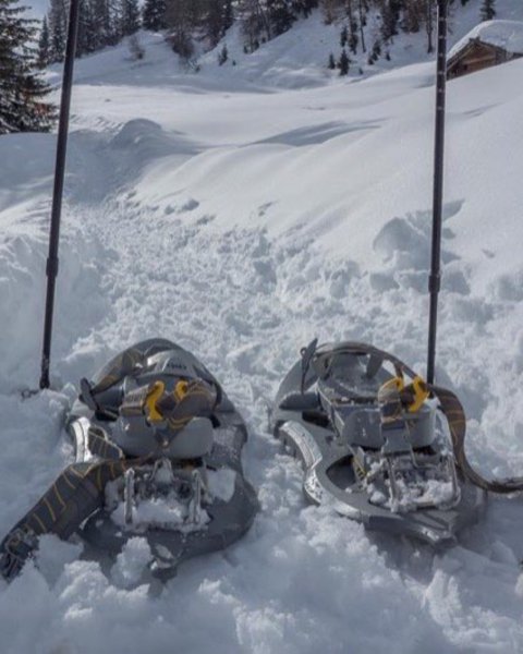 schneeschuhe 06088