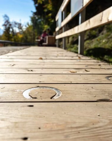 Der Haflinger Erlebnisweg
