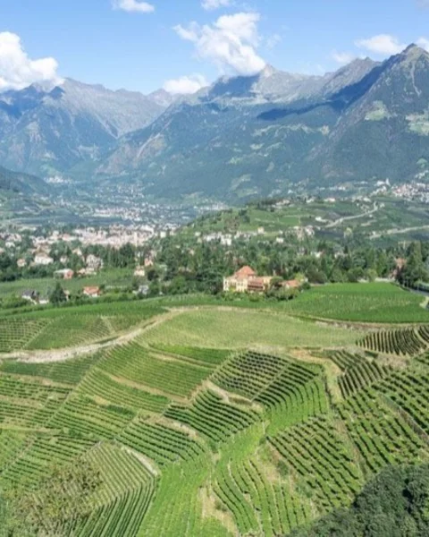 7 Tipps für den August 2025 in Meran