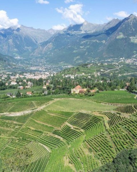 august in meran
