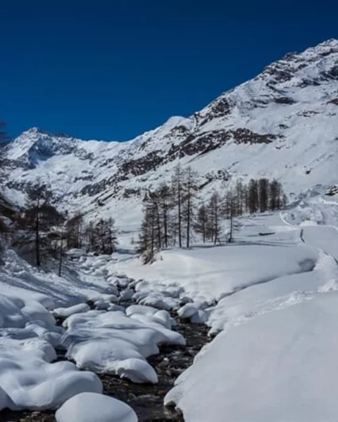 Von Pfelders zur Lazinser Alm