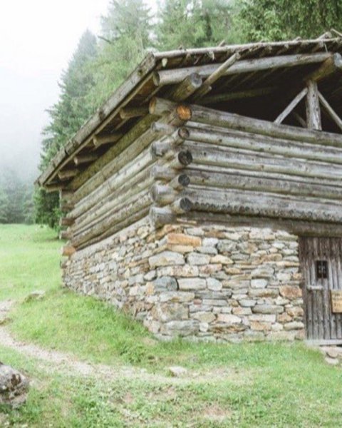 Malga Pfandler Alm  08048