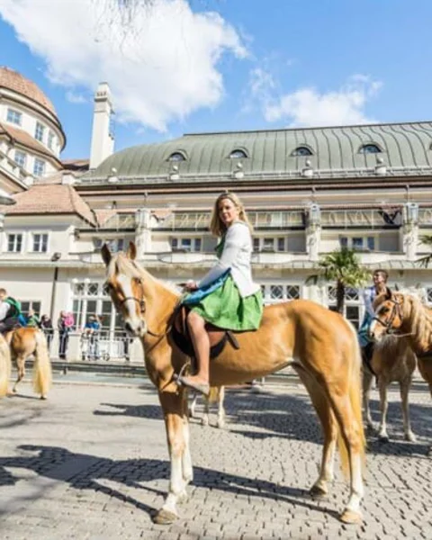 Traditioneller Umzug der Haflinger Pferde