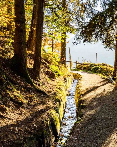 Waal im Wald am Schennaberg