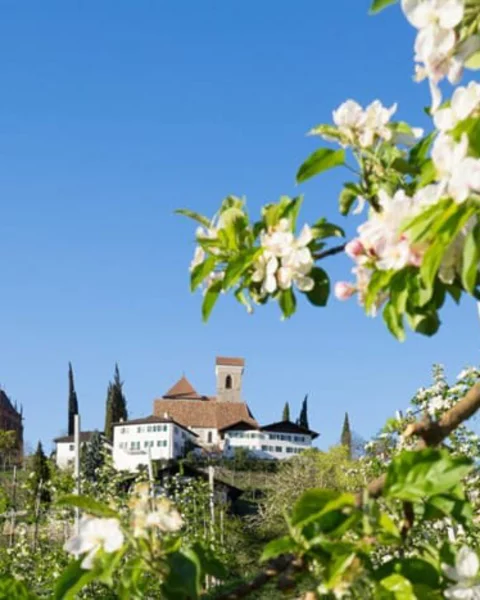 10 Dinge, die du im März in Meran tun solltest!