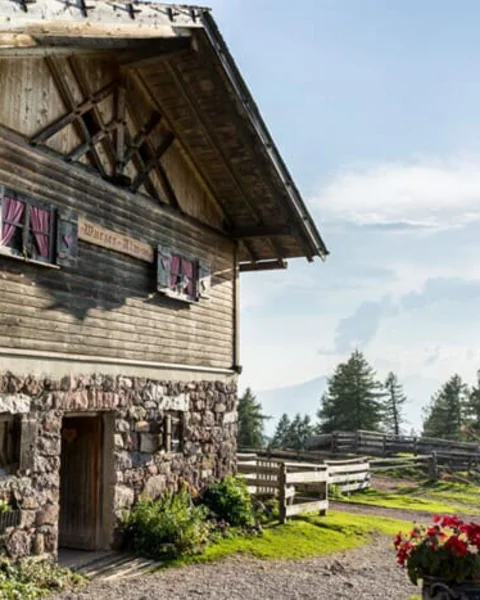 Die Wurzer Alm besuchen