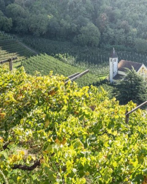 september meran