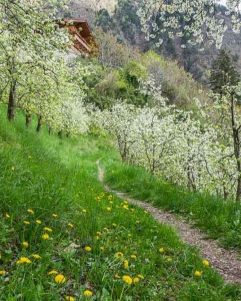 algund vellau 07150