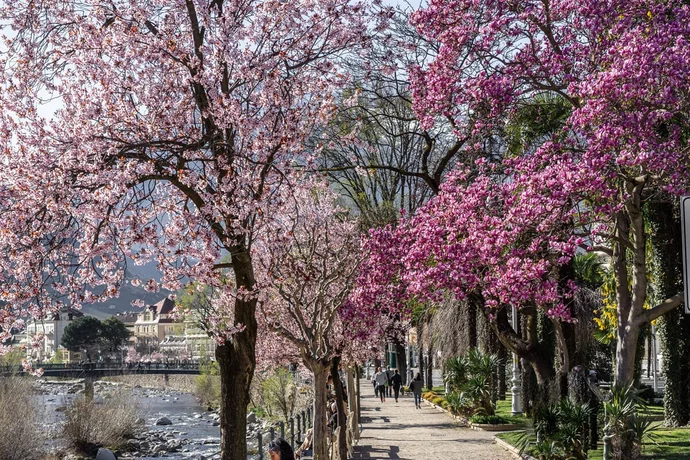 april in meran