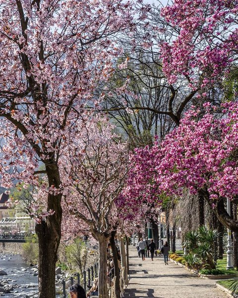 april in meran