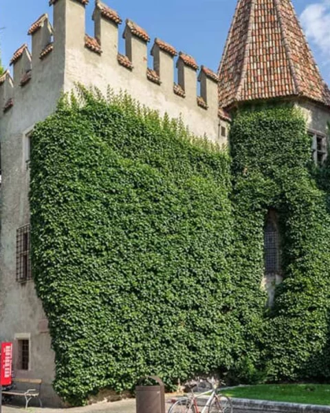 Die Landesfürstliche Burg