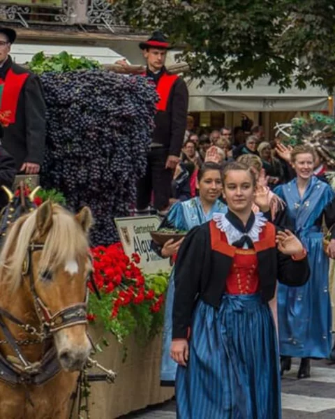Das Meraner Traubenfest