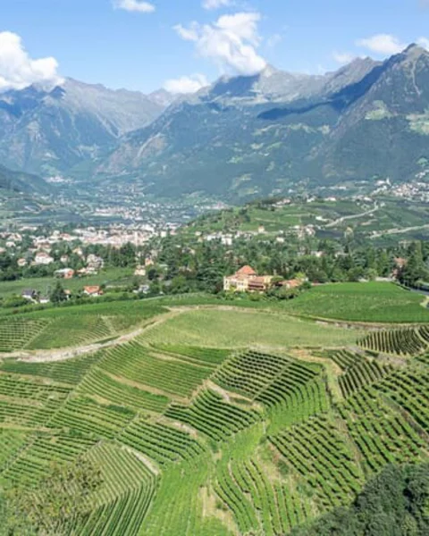 7 Tipps für den August 2025 in Meran