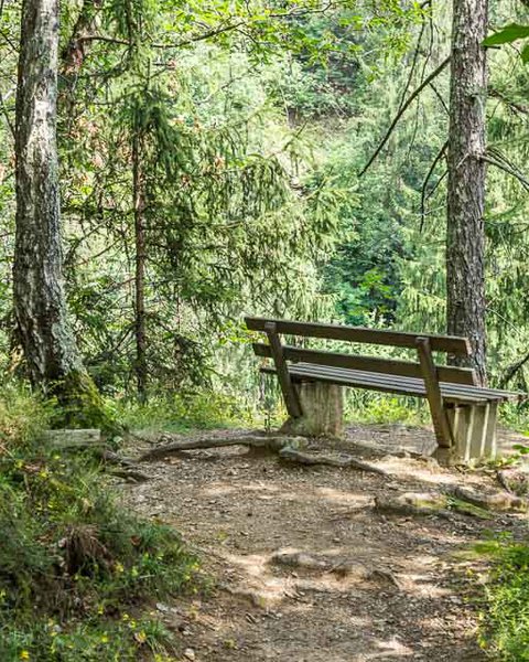 Rastbank im Wald am Riffianer Waalweg