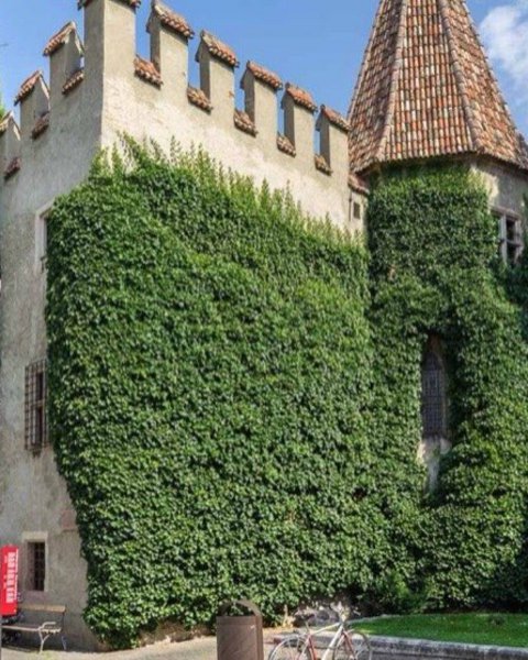 castello principesco 