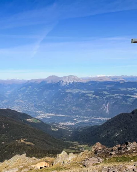 Die Laugenspitze