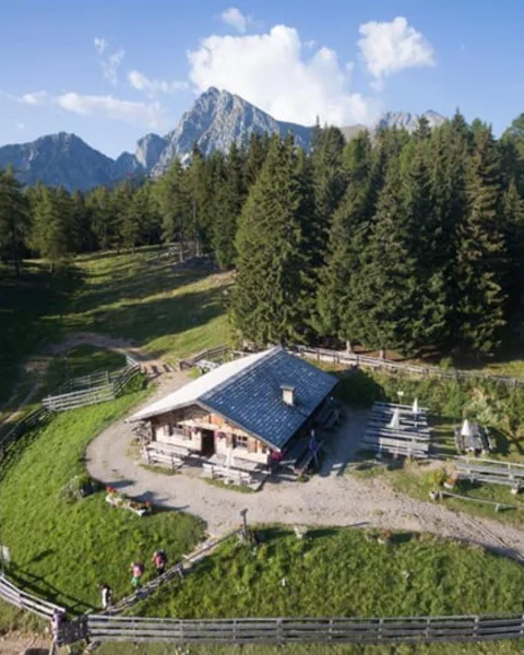 Moschwald Alm