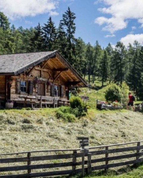 moschwald alm 00478 1024x683