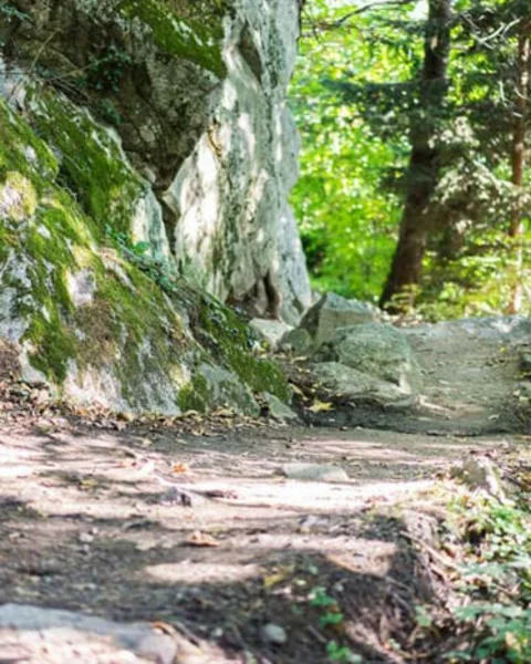 Schenner Waalweg