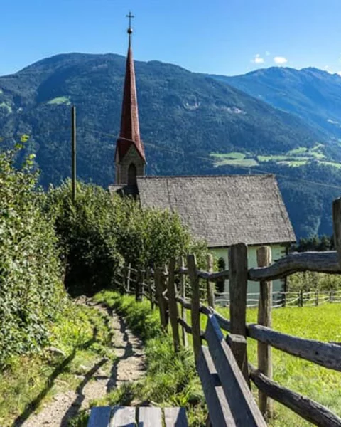 Vellau