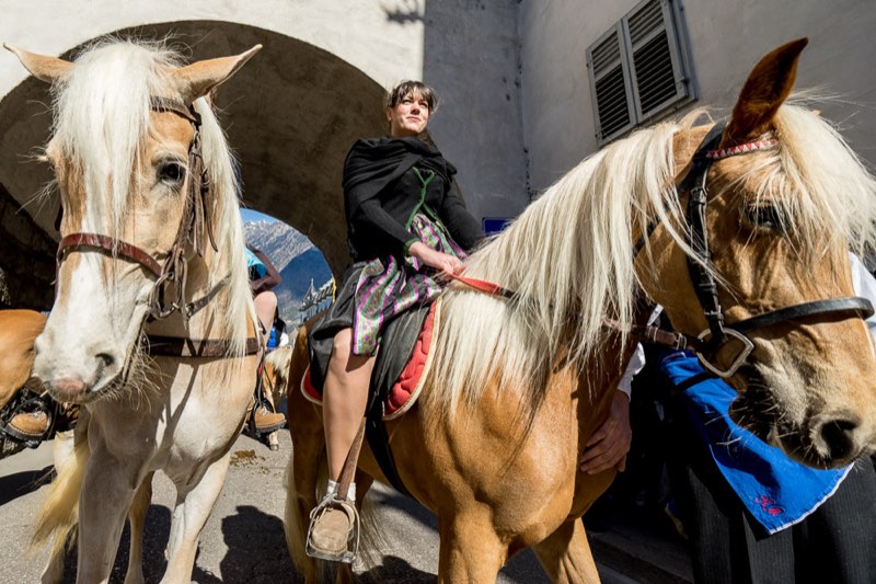 Der Haflinger Umzug in Meran