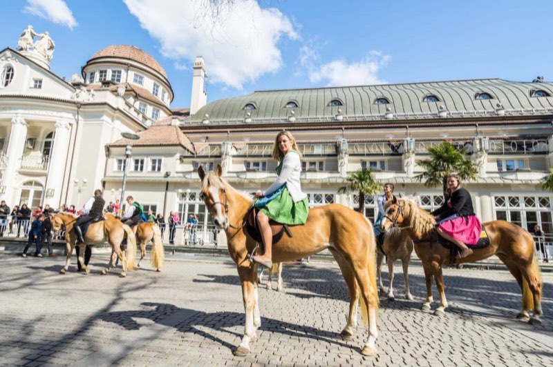 Der Haflinger Umzug in Meran