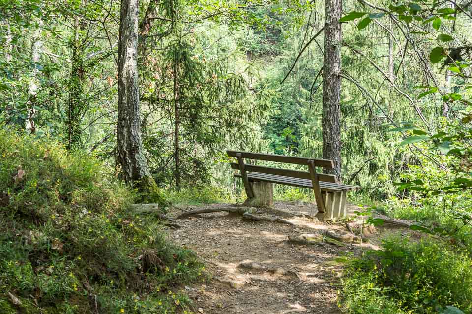 Rastbank im Wald oberhalb von Riffian