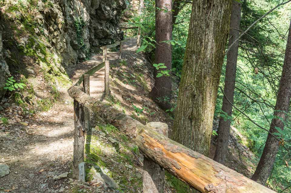 Waldweg mit Geländer am Riffianer Waalweg