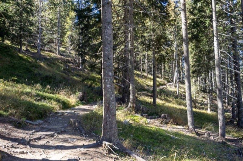 Naturnser Alm