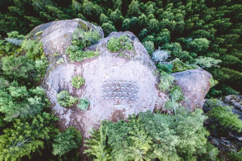 knottnkino top
