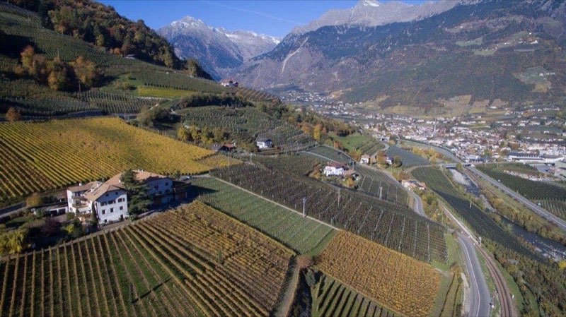 Weingut Plonerhof