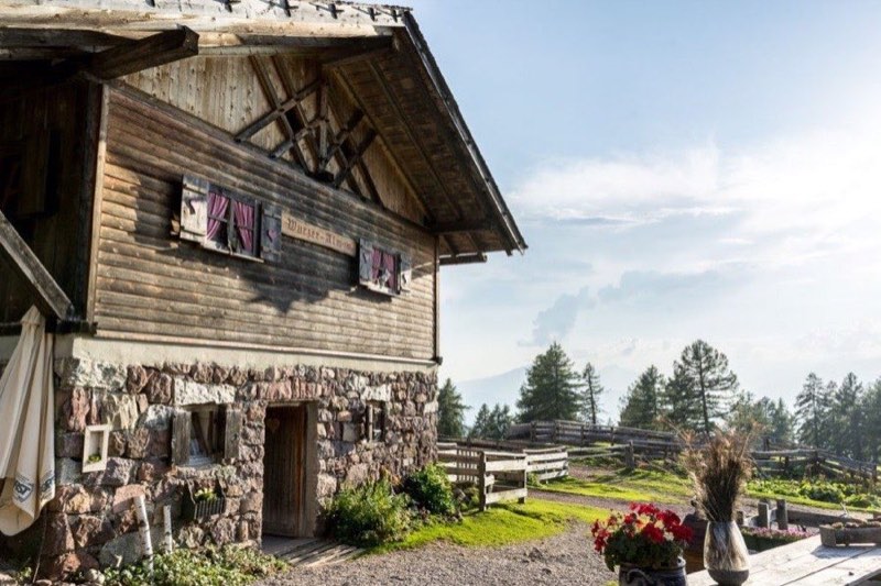 Die Wurzer Alm oberhalb von Hafling