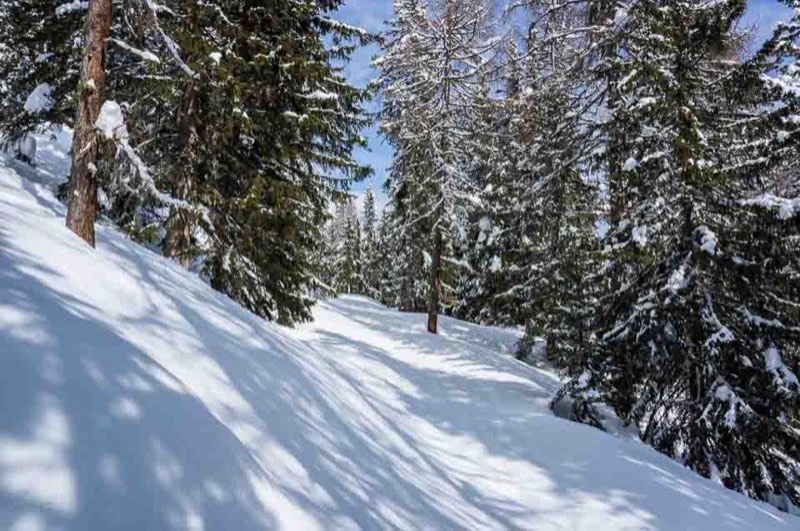 Schneeschuhwandern im Ultental
