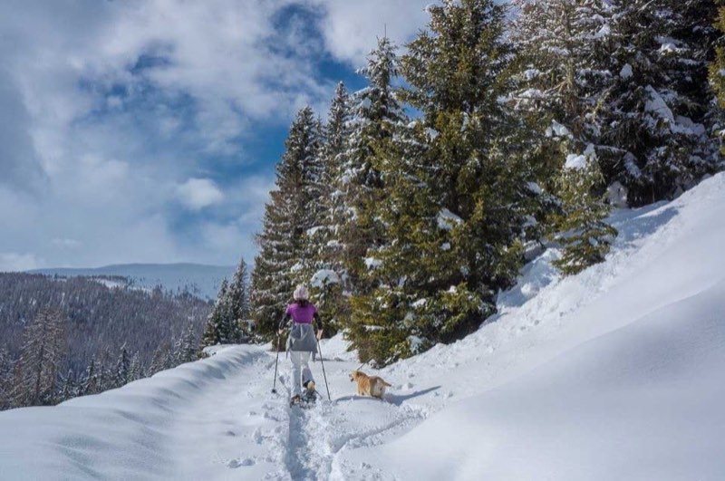 Schneeschuhwandern im Ultental