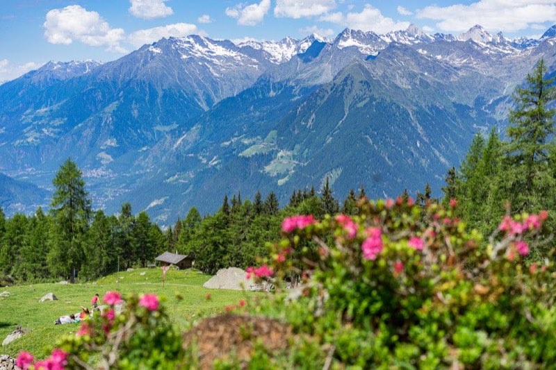 Die Ifingerhütte