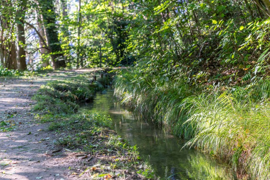 Weg entlang des Waals
