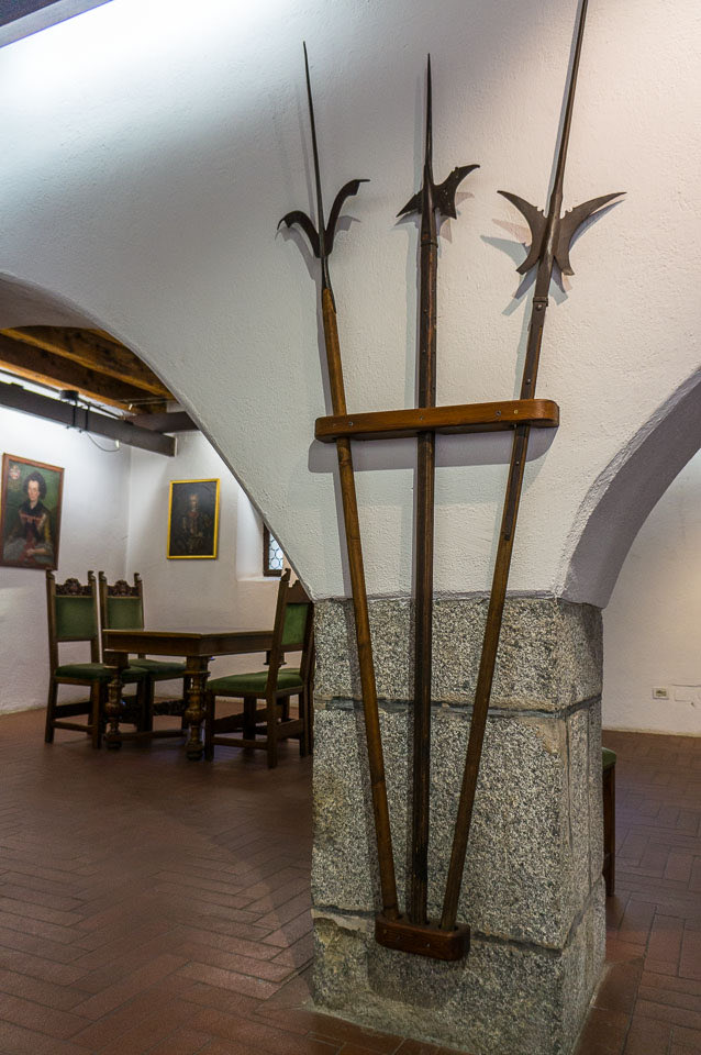 Die Landesfürstliche Burg